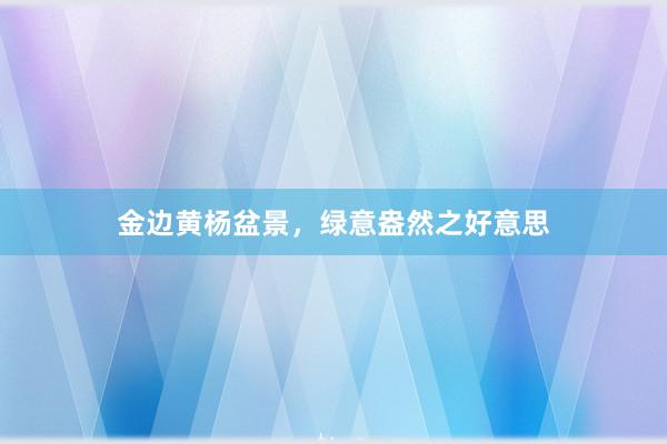 金边黄杨盆景,绿意盎然之好意思